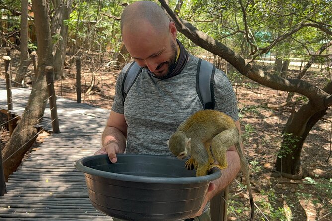 Elephant & Monkey Sanctuary Tour From Johannesburg