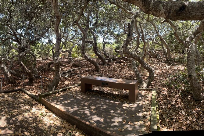 Elfin Forest Nature Tour With Local Sweet and Savory Tasting - Meeting and Pickup