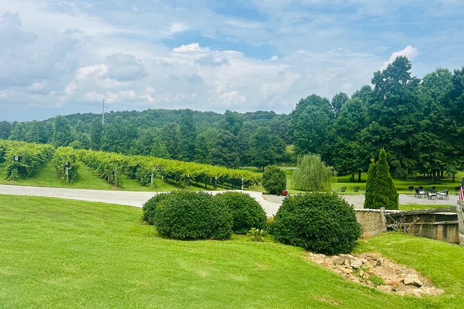 Elijay Three Vineyards Private Wine Tasting Tour From Atlanta - Inclusions and What to Expect
