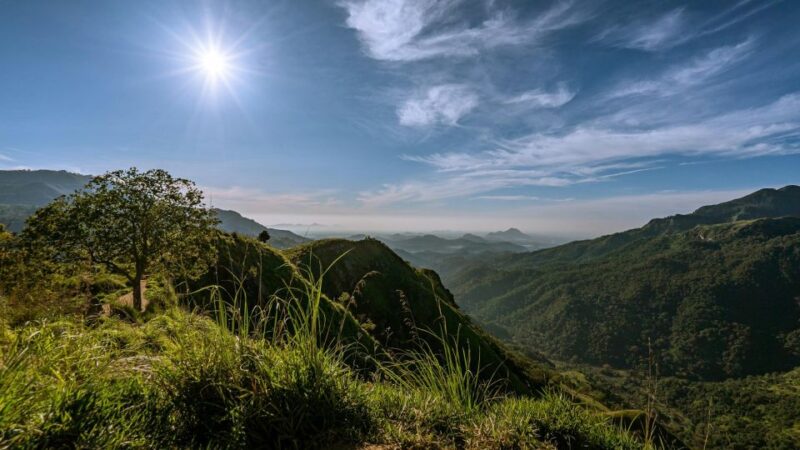 Ella: Discover Little Adams Peak, Ella Rock & 9 Arch Bridge - Itinerary Details