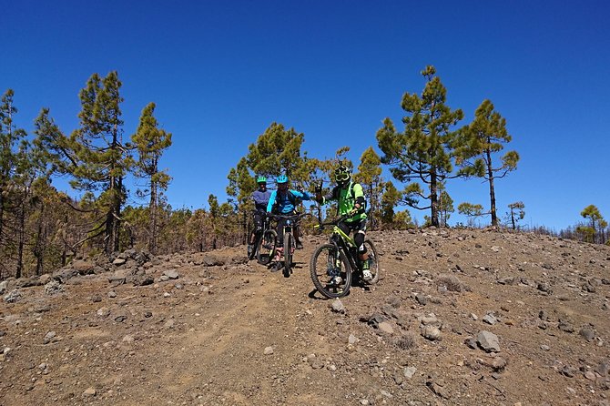 Enduro MTB Tours - Tour Inclusions and Benefits
