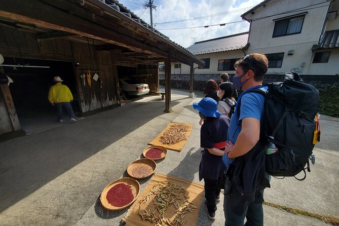 Enjoy a Walk, Lunch, and Tea Time at the 2000 Years Old Teno Farm Village. - Meeting and Pickup Details