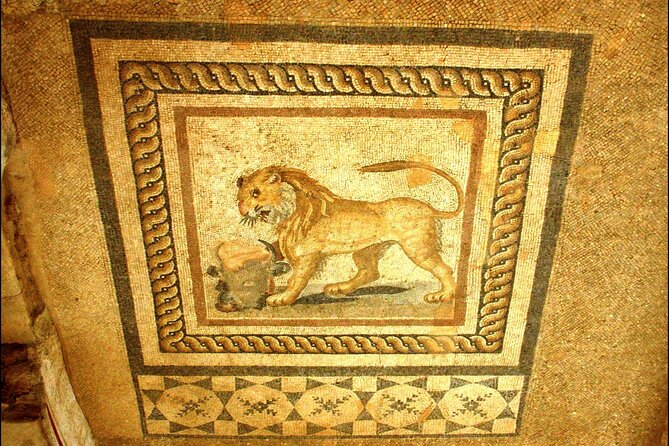 Ephesus - Terrace Houses Tour From Kusadasi Port (Skip the Line) - Highlights of Ephesus