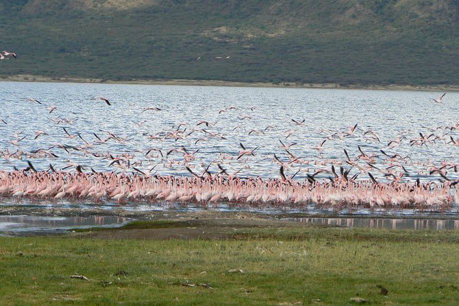Escape to Lake Bogoria, Flamingos New Home for an Overnight Safari - Pickup and Meeting Points