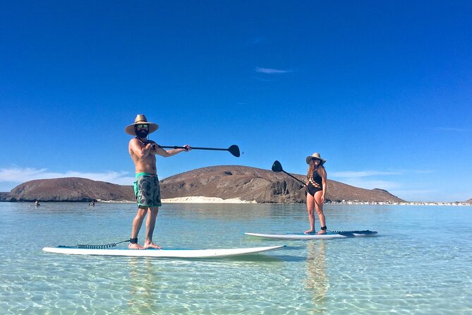 Espiritu Santo Island Combo: Sea Lions and Paddleboard 1 to 6 Private Group - Highlights of the Experience