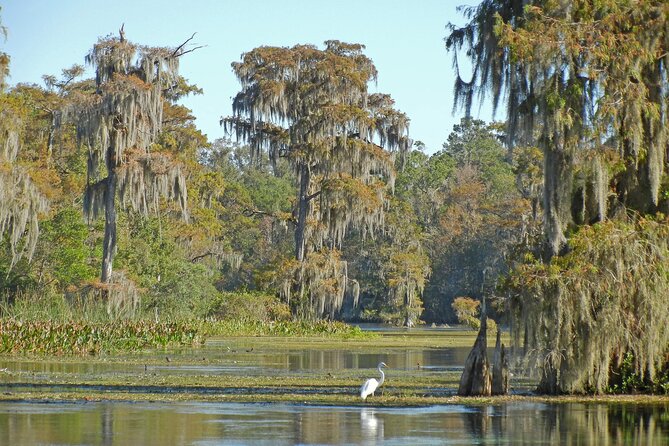 Everglades Airboat Tour Review: Is It Worth It - Reviews and Ratings