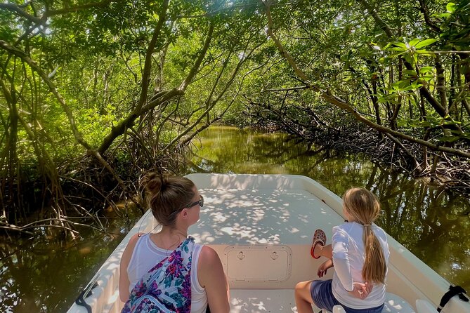 Everglades Mangrove Wilderness Boat Tour - Tour Details