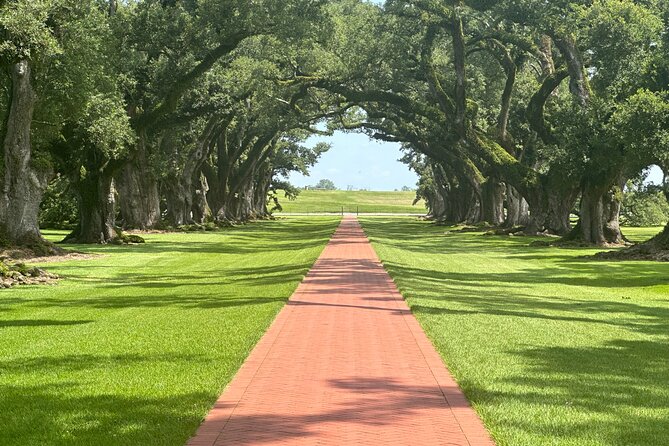 Exclusive Journey Through Louisianas Historic Plantations - The Grandeur of Nottoway Plantation