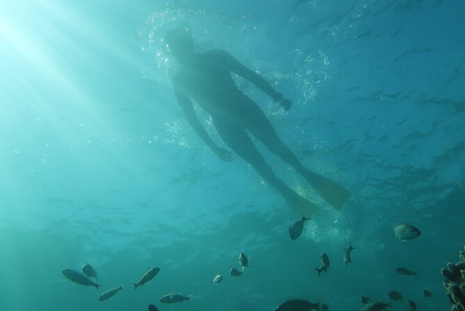 Exclusively Private Snorkel Adventures Review - Meeting and End Points