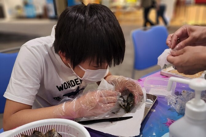 Experience Extracting Pearls From Akoya Oysters　osaka - Meeting and Pickup