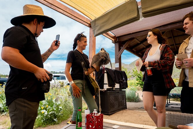 Experience Raptors and Falconry in Reno - Guest Feedback
