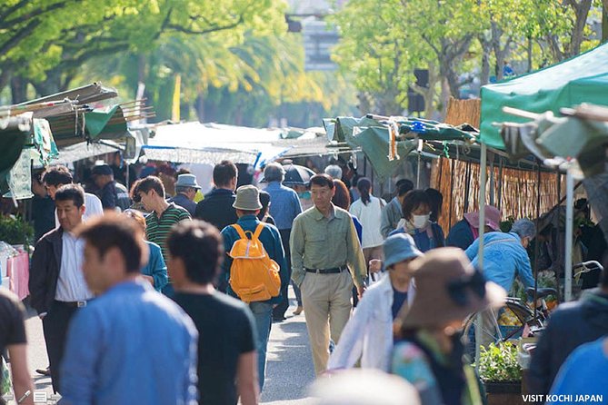 Experience the Energy of Kochi: Sunday Market Tour Includes Kochi Castle - Inclusions