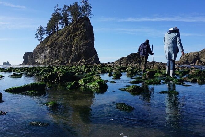 Experience the Spectacular Beauty of the Olympic Peninsula - Highlights of the Tour