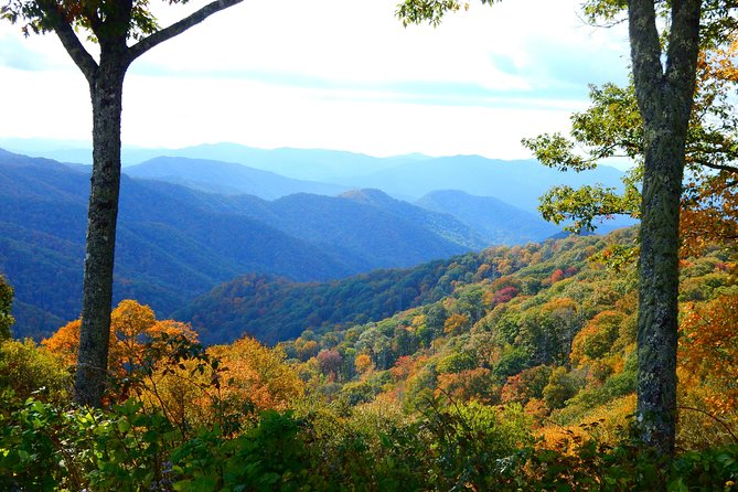 Fall Color Tour in the Smoky Mountains - What to Expect on Your Tour