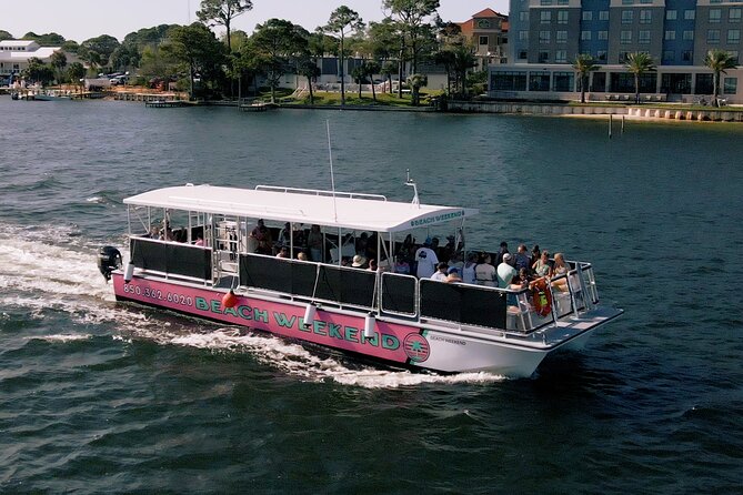 Family Friendly Snorkeling and Dolphin Tour - Customer Reviews and Experiences