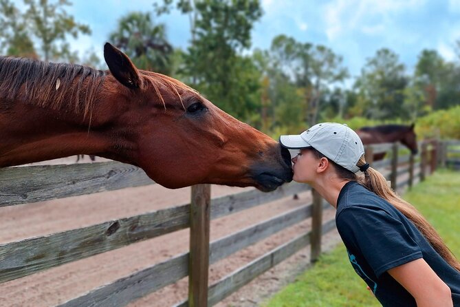 Farm Experience With Ponies, Bunnies, Chickens and Goats - Meeting Point and Transportation Details