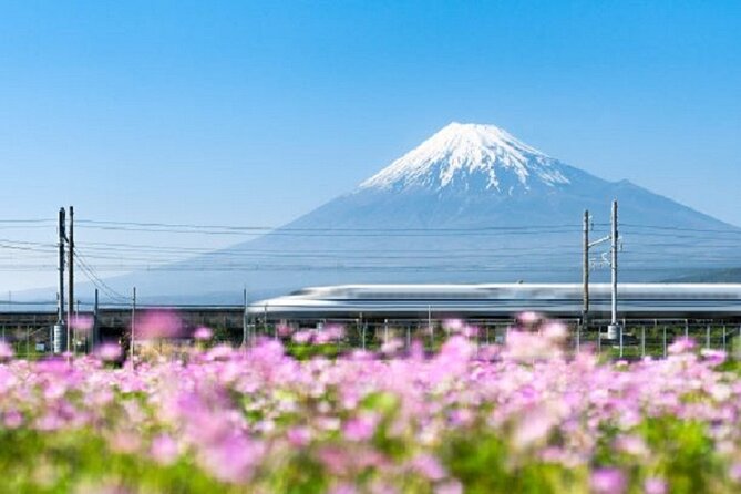 Feel Mt Fuji and Sake Tasting Private Tour From in Shizuoka - Exploring Mount Fuji