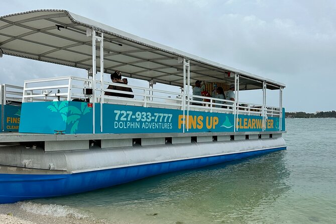 Fins Up - Dolphin & Island Sandbar Adventure in Clearwater Beach - Inclusions and Amenities