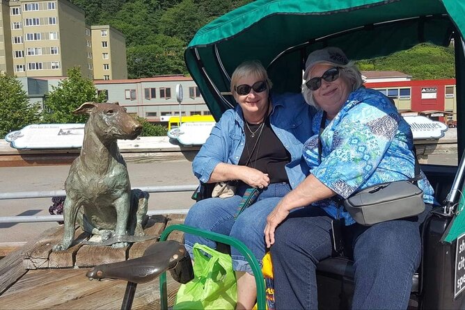 Five-Star Juneau Pedicab Private Tour - Meeting and Pickup