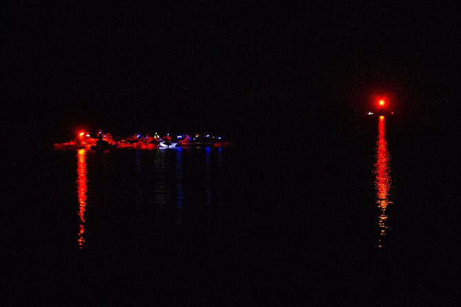 Florida Bioluminescence Clear Kayak Tour | Cocoa Beach (Kiwanis Island) - What to Expect During the Kayaking Adventure