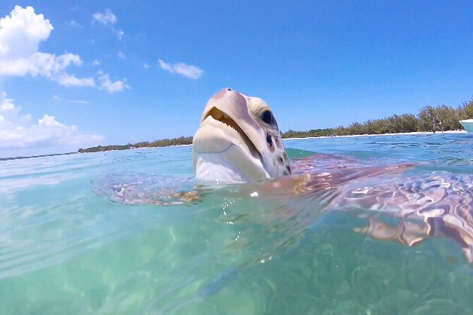 Florida Key Private Islands Exclusive Day Trip From Miami W/Activ - Essentials to Bring