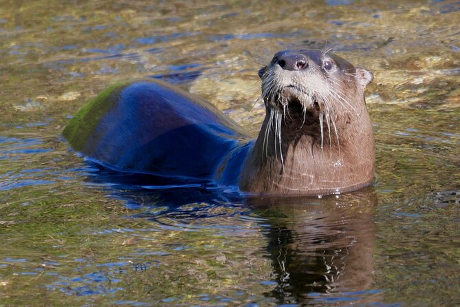 Florida Wildlife Drive Eco Tour With Lunch and Moonshine Tasting - Meeting Location and Pickup