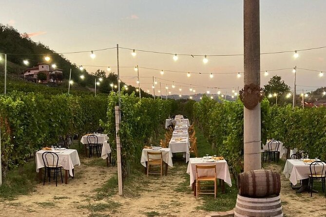 Food and Wine Tasting and Dinner in the Vineyard in the Langhe - Location and Accessibility