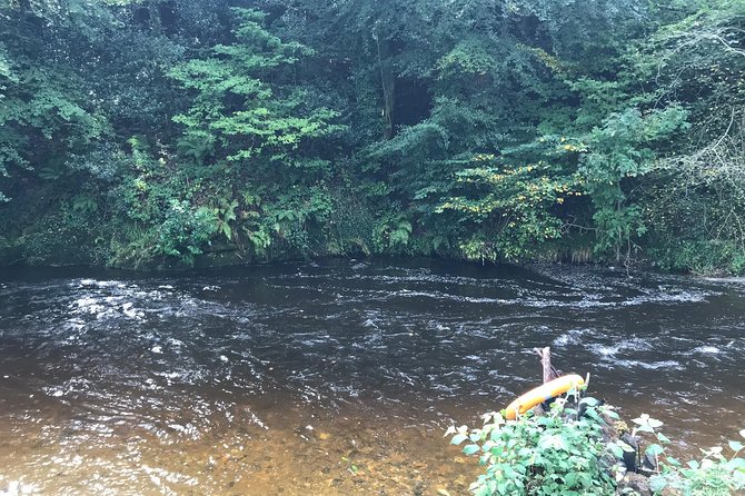 Forest Wood Fired Sauna & Cold Water River Swim - Operating Hours and Availability