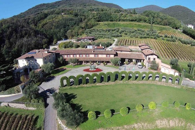 Franciacorta and Lake Iseo: a Tour Between Wine Tasting and Cruising - Wine Tasting Experience