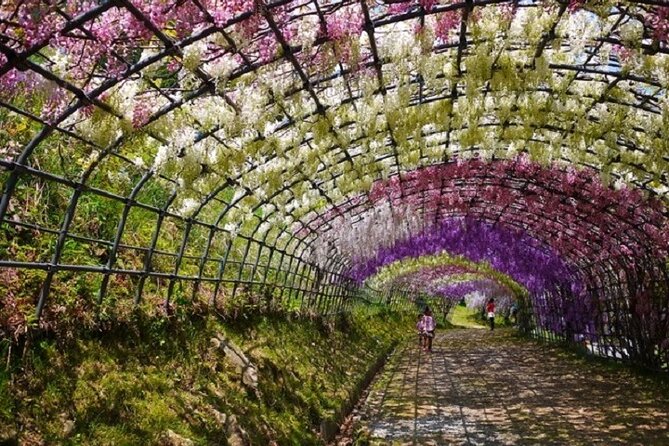 French Dining at Matsumoto Residence and Kawachi Wisteria YokaBus - Included in the Experience