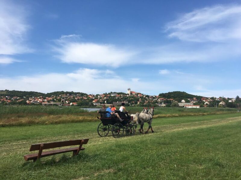 From Budapest: Wine Tasting At Balaton Full Day Private Tour - Highlights of the Experience