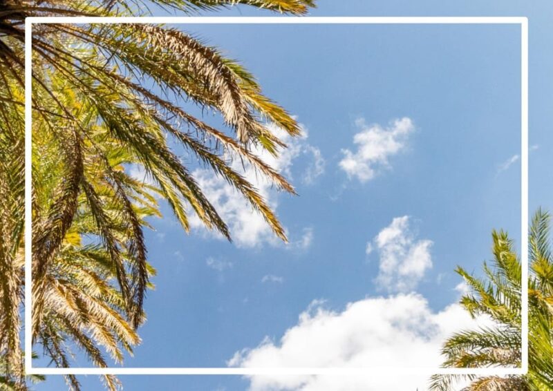 From Chania: Preveli Beach , a Day at a Tropical Paradise! - Itinerary and Highlights