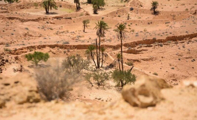 From Djerba and Zarzis : An Epic 3 Days Desert Adventure - Itinerary Highlights