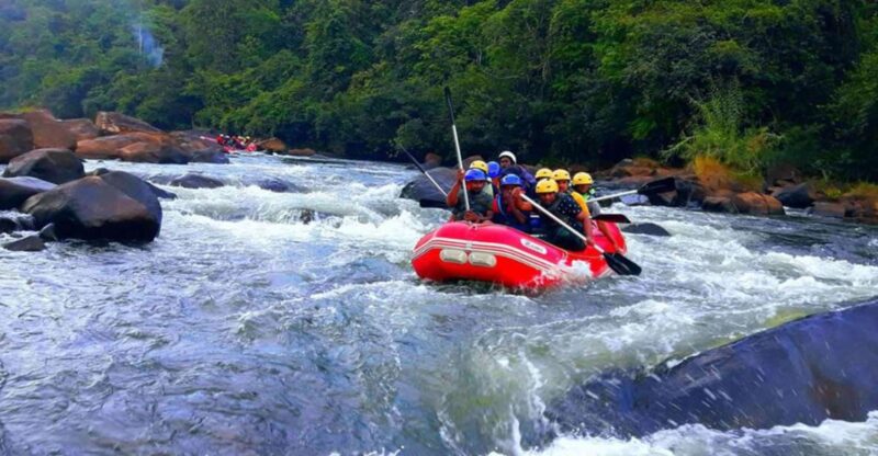 From Kandy: Kithulgala White Water Rafting Adventure - Pricing and Inclusions