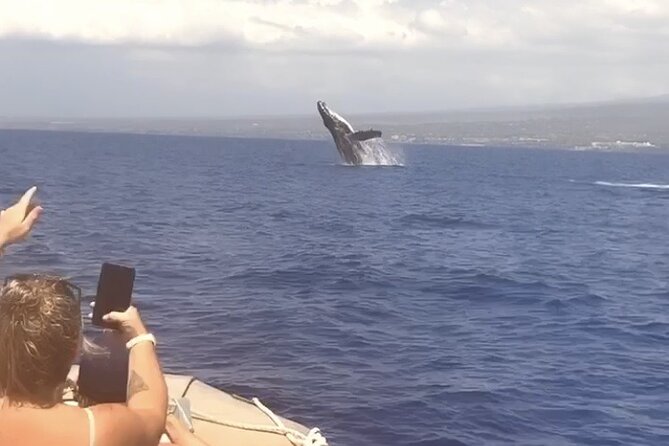 From Maalaea Harbor: Whale Watching Tours Aboard Winona Catamaran - Amenities and Inclusions
