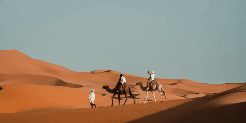 From Marrakech: Magical 3-Day Desert Tour to Fes Via Sahara - Experience Highlights