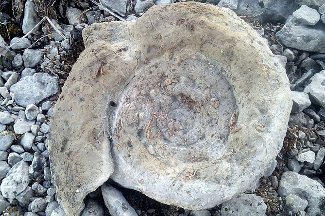 From Sofia: Walking Tour Over the Jurassic Sea - Meeting and Pickup