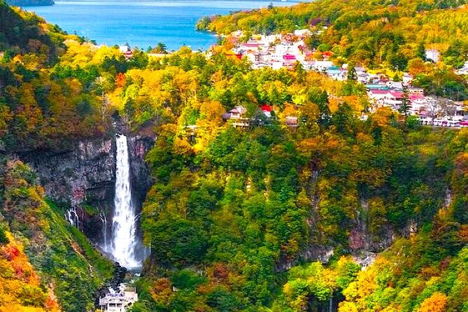 From Tokyo: Nikko Private 1-Day Sightseeing Trip With Guide - Marveling at Kegon Falls