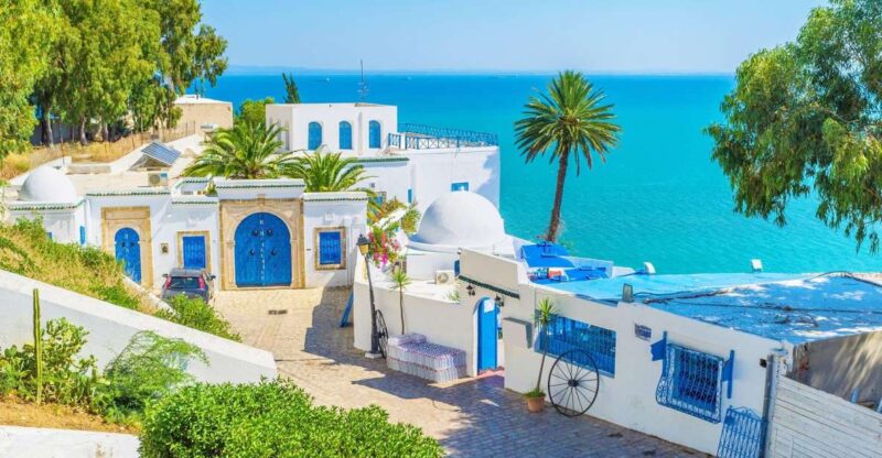 From Tun or Hammamet: Day Trip to Sidi Bou Saïd and Carthage - Pricing and Booking