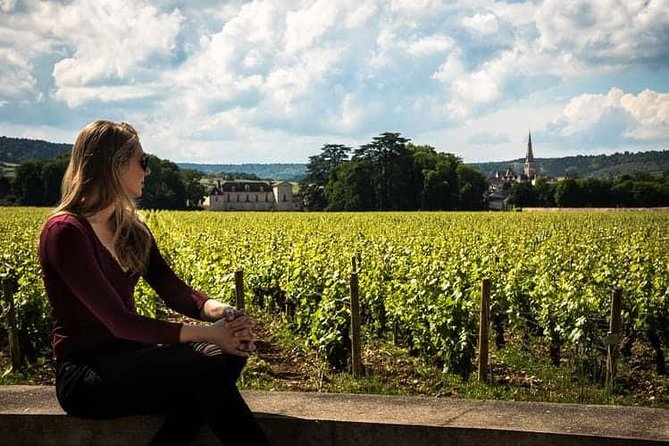 From Verona and Garda: Visit to Sirmione and Lugana Wine Experience - Discovering Lugana Wine