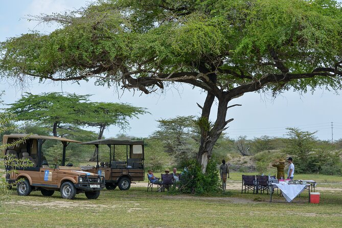 From Zanzibar: Selous Game Reserve Day Safari With Flights - Safety Considerations