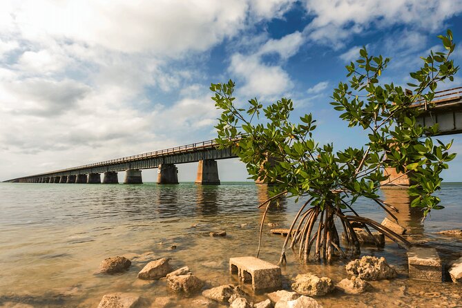 Ft. Lauderdale to Key West Day Trip Quality Day Tours - Detailed Itinerary