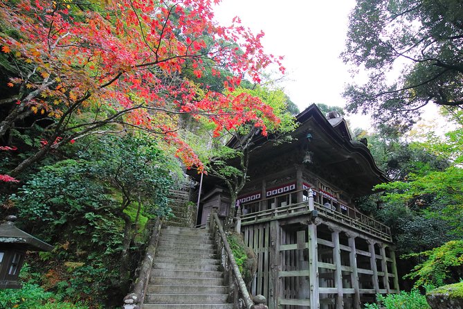 Fukui Private Full Day/Photoshoot by Professional Photographer - Tour Logistics