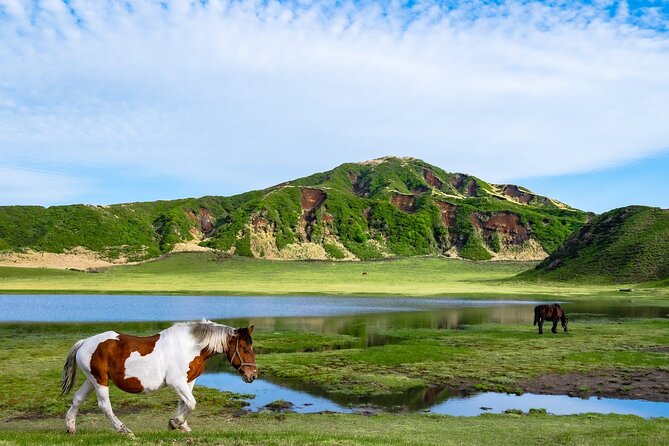 Fukuoka: Mount Aso Volcano, Kumamoto Castle, Grasslands Day Tour - Inclusions and Highlights