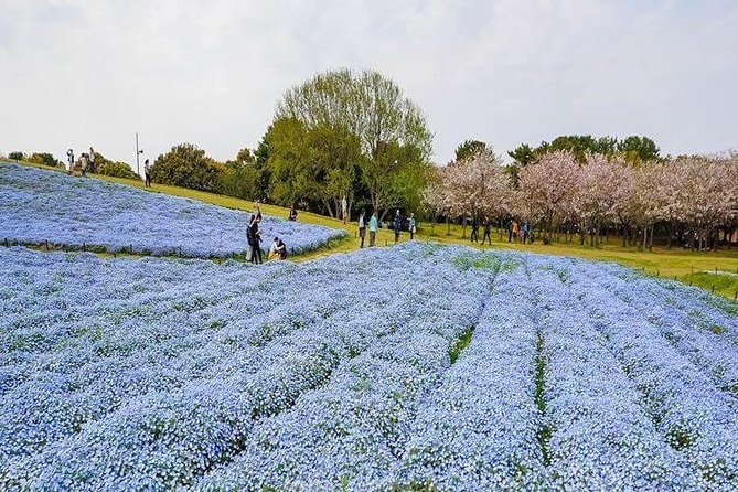 Fukuoka Private Customizable Half Day Tour - Booking and Confirmation Process