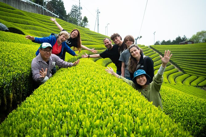 Full Day 7hr Private Van True Hidden Kyoto Matcha Farm Experience - Matcha Tea Platter