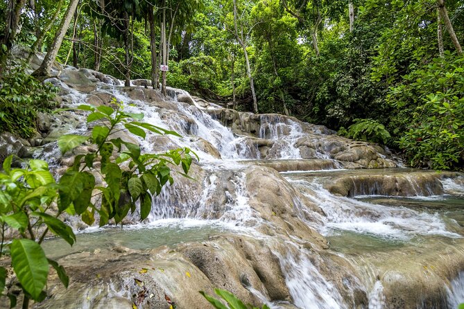 Full Day Dunns River and Nine Miles With Lunch - Inclusions and Amenities