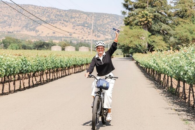 Full-Day Electric Bike Rental - Rental Inclusions