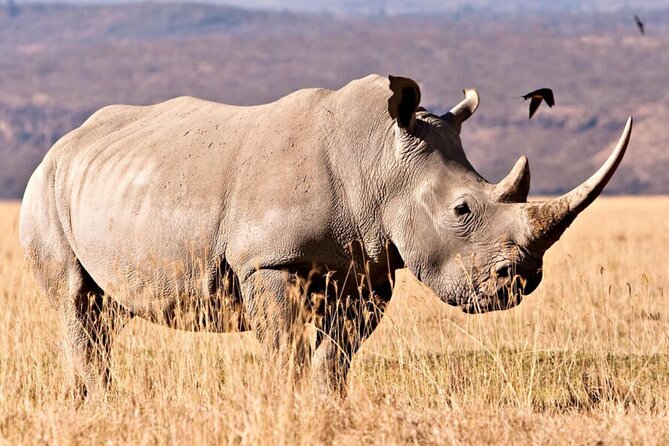 Full Day Isimangaliso Wetlands & Boat Cruise Tour From Durban - Pricing Details