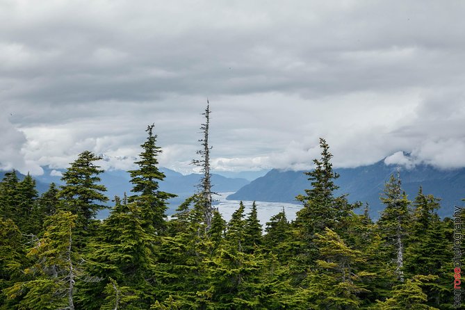 Full-Day Mount Riley Hike Review - Inclusions